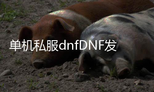 单机私服dnfDNF发布网与勇士（dnf单机版服务端）