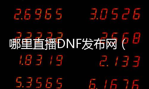 哪里直播DNF发布网（dnf主播在哪个平台）