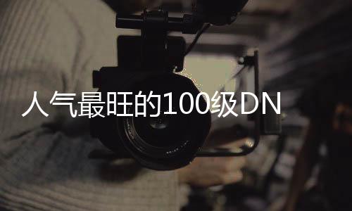 人气最旺的100级DNF发布网（dnf100级收益排行）