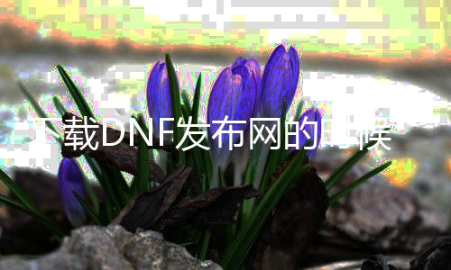 下载DNF发布网的时候停电了（dnf端游下载不了）