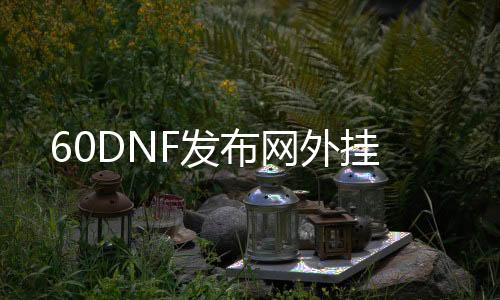 60DNF发布网外挂