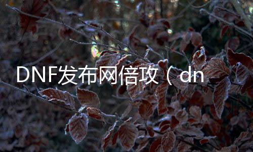 DNF发布网倍攻（dnf倍攻多少合适）