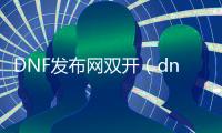 DNF发布网双开（dnf官方认可的双开器）