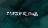 DNF发布网加物品