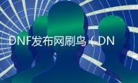 DNF发布网刷鸟（DNF发布网鸟背一般在哪个频道人多）