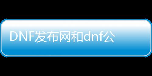 DNF发布网和dnf公益服发布网有什么区别,如何选择适合自己的dnf服务器
