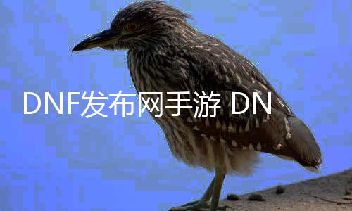 DNF发布网手游 DNF发布网