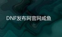 DNF发布网官网咸鱼