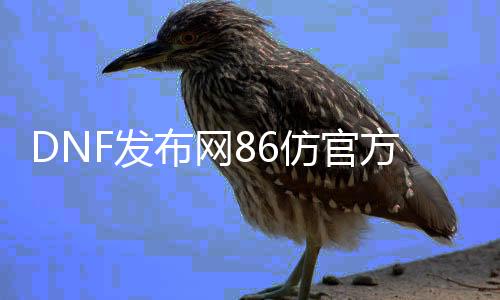 DNF发布网86仿官方私服