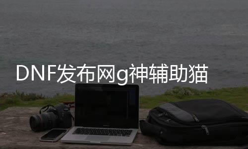 DNF发布网g神辅助猫扑（DNF发布网辅助app）